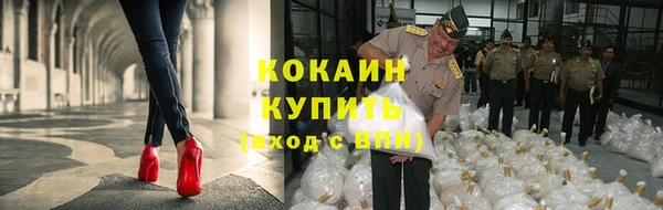 прущие крисы Армянск