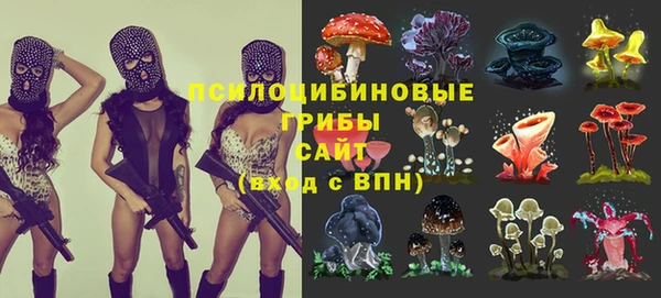 прущие крисы Армянск